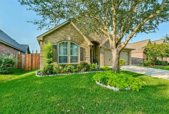A house with a tree in the front yard