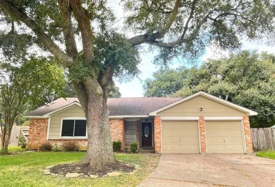 A large tree in front of a house