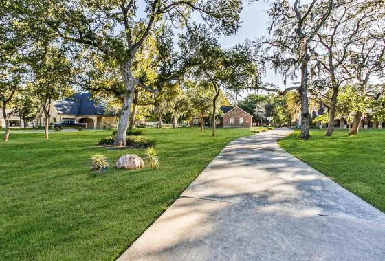 A paved path in the middle of a park.