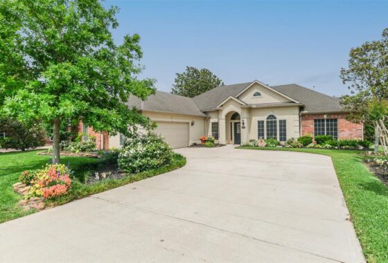 A large driveway with trees and bushes around it.