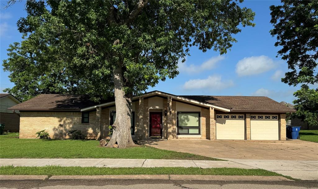 A house with a large tree in front of it.
